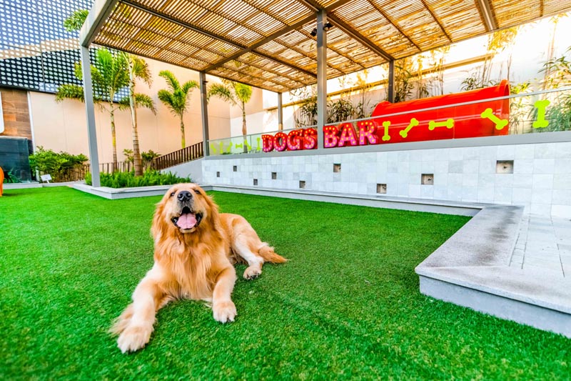 BarraShopping promove Evento de Adoção de cães e gatos 1 BarraShopping promove Evento de Adoção de cães e gatos