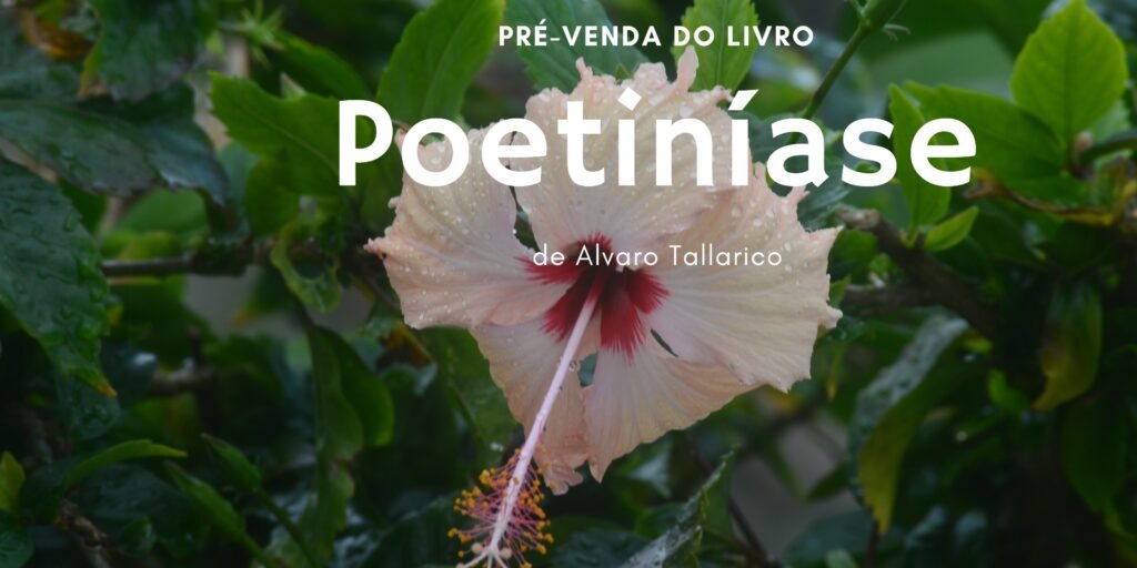 Entenda ‘Poetiníase’, a doença que cura, no novo livro de Alvaro Tallarico
