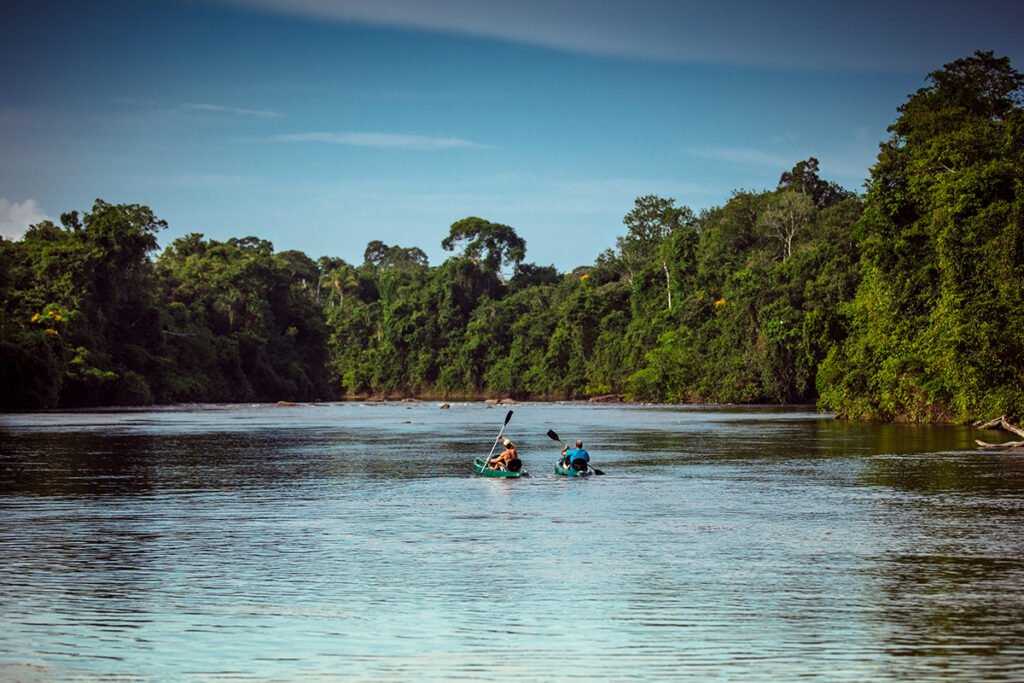 Cheia dos rios na Amazônia: momento do espetáculo da renovação da natureza