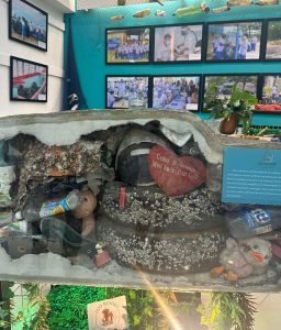 Exposição TransforMAR é inaugurada com grande público e destaca recuperação ambiental na Baía de Guanabara