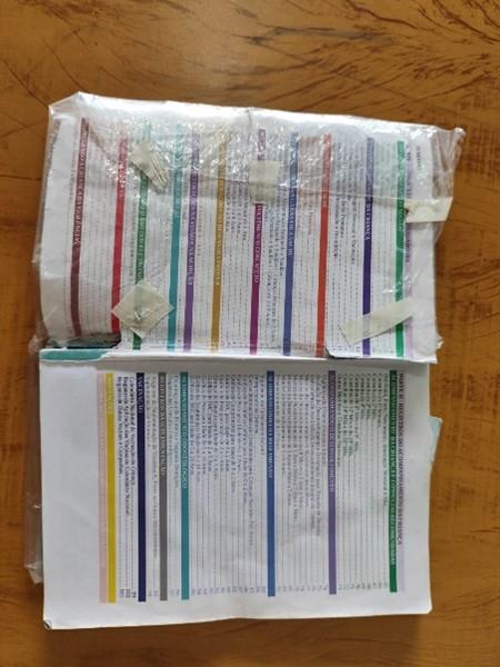 A Importância da Caderneta de Vacinas Personalizada: Proteção e Estilo por Fernanda Marques Personalizados em Goiânia