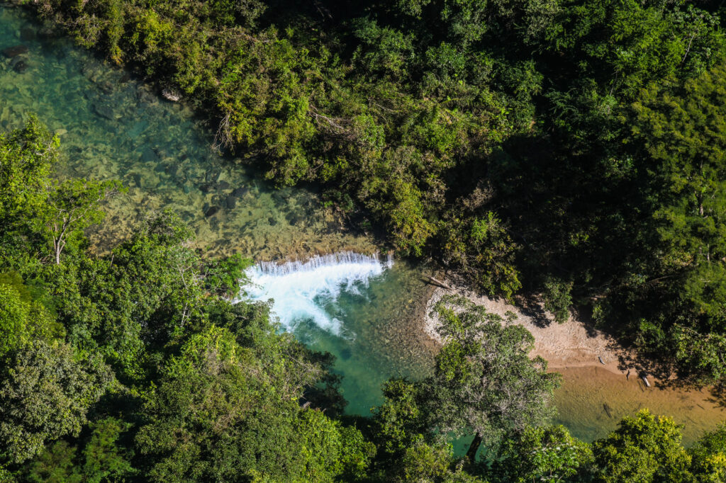 Projeto Água Vida apoia a instalação de viveiros para produção de árvores nos biomas brasileiros 1 Projeto Água Vida apoia a instalação de viveiros para produção de árvores nos biomas brasileiros