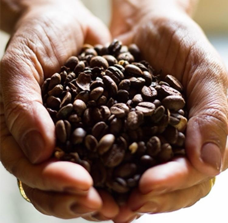 Replanta Vale – Feira de Cafés Especiais e Fórum de Discussões acontece dia 12 de dezembro, em Vassouras (RJ) 1 Replanta Vale 2024 (3)