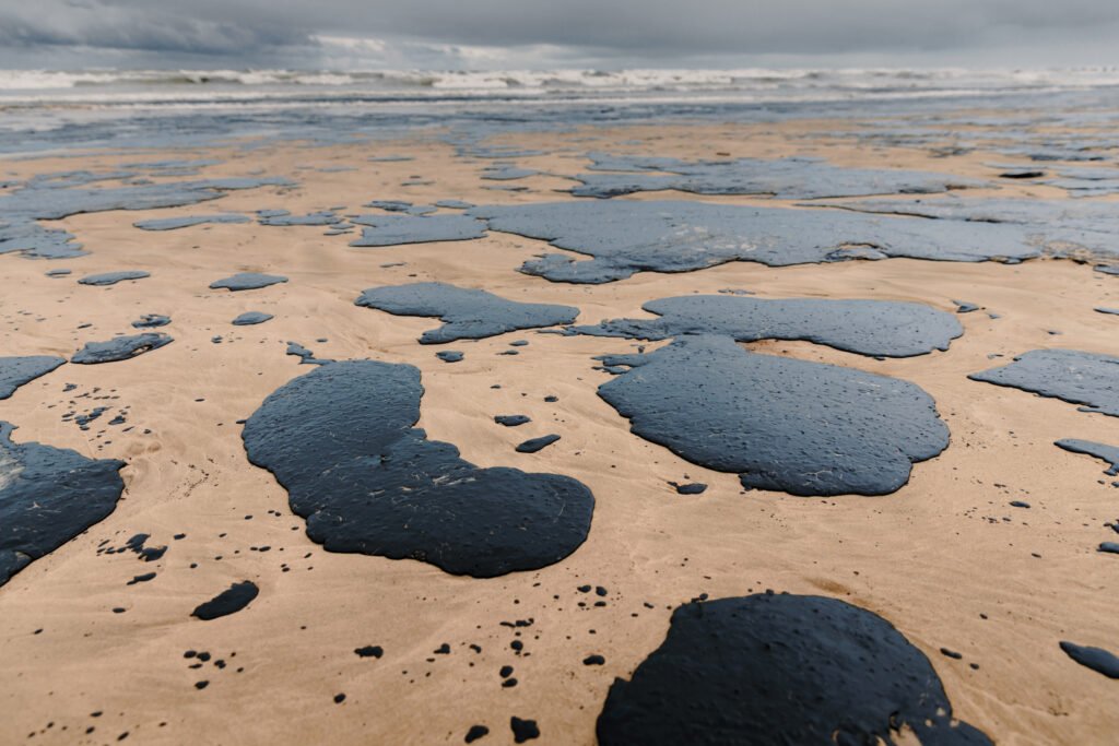 Derramamento de petróleo: quais os danos e como recuperar áreas atingidas?