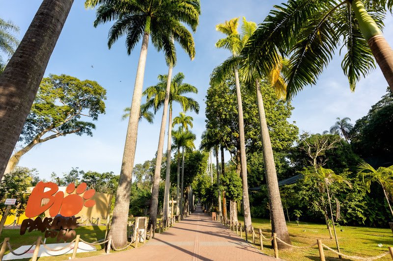 Natal mágico no BioParque do Rio traz atividades especiais e diversão para toda a família