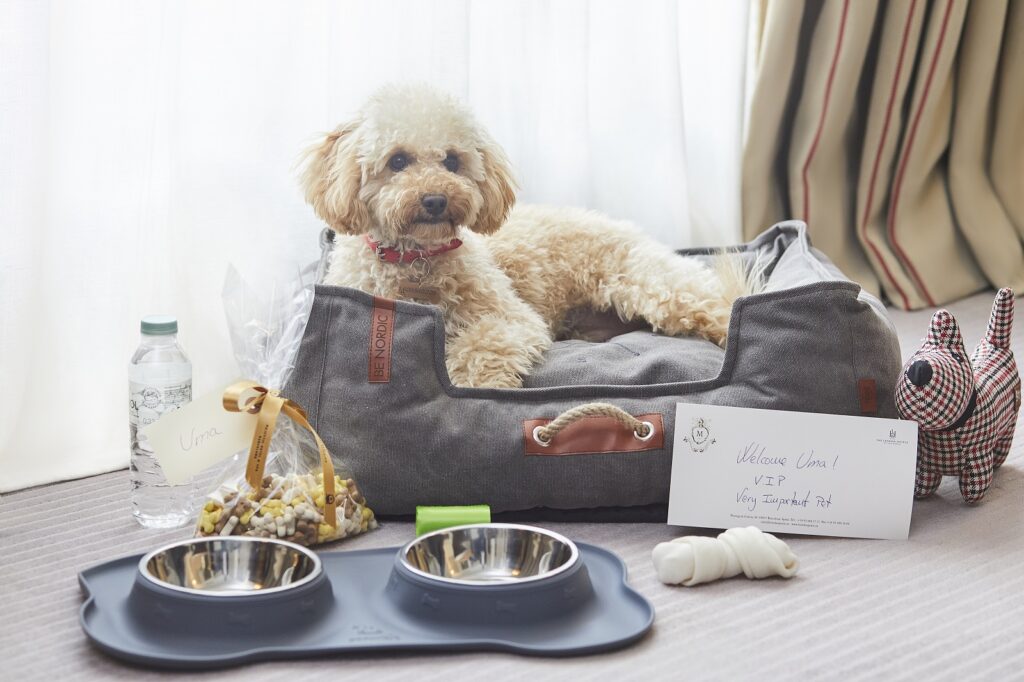 No Majestic Hotel & SPA Barcelona, VIP significa Very Important Pet