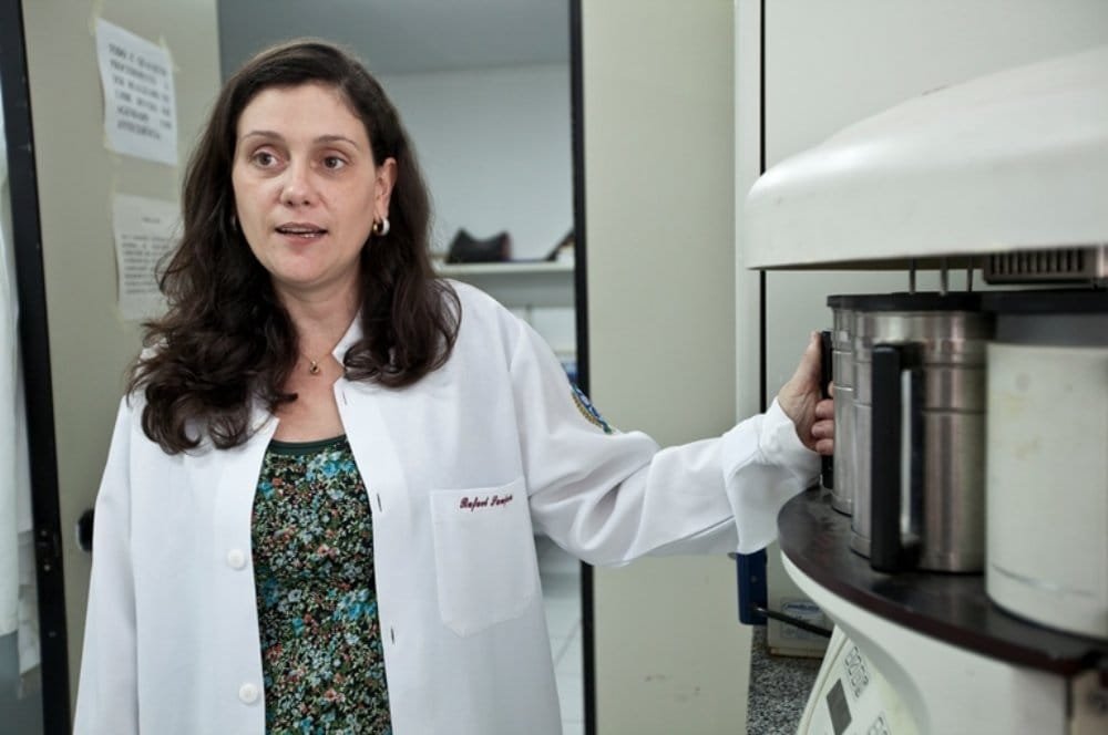 Da Tulipa à Própolis Vermelha: Conexões na Luta Contra o Parkinson Foto: Divulgação