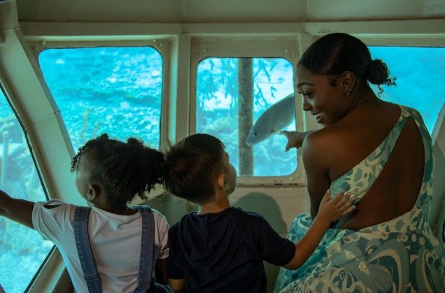 Dolphin Academy lança programa de nado com golfinhos na ilha de Curaçao