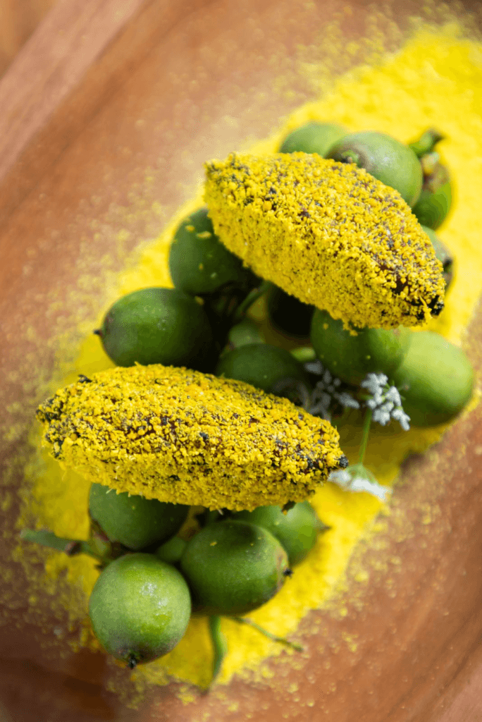 Vila Naiá lança primeira edição do Projeto “Sabores e Saberes”: Uma Jornada Gastronômica de Resgate Cultural e Inovação na Culinária Pataxó