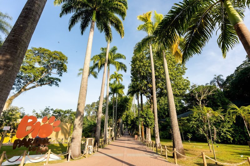 BioParque do Rio oferece programação educativa especial