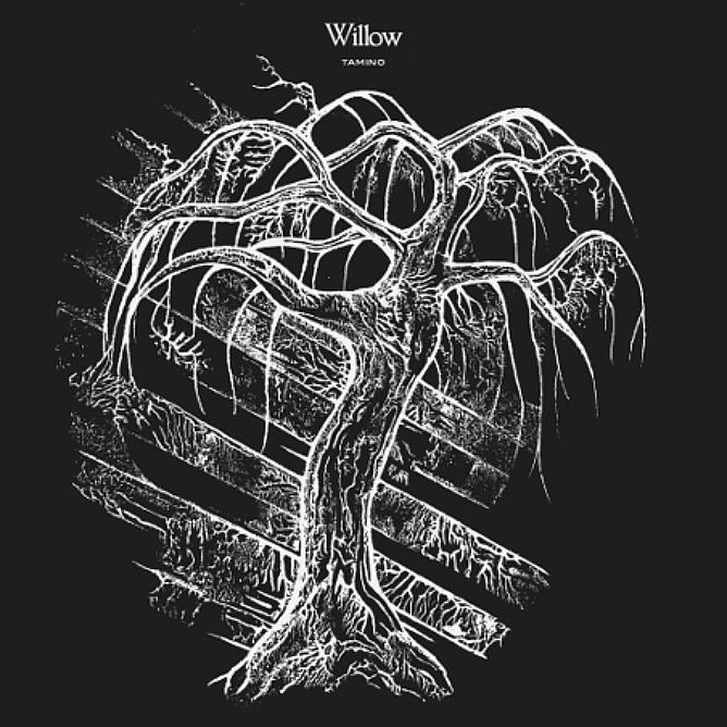 Tamino compartilha o single “Willow”