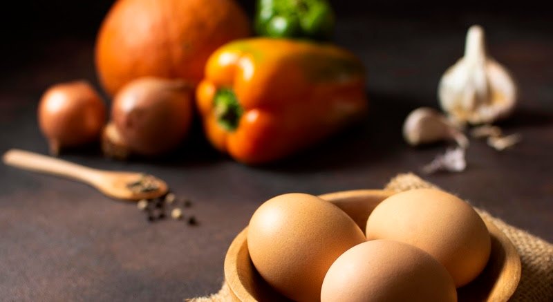 Ovo: a proteína completa para todas as fases da vida