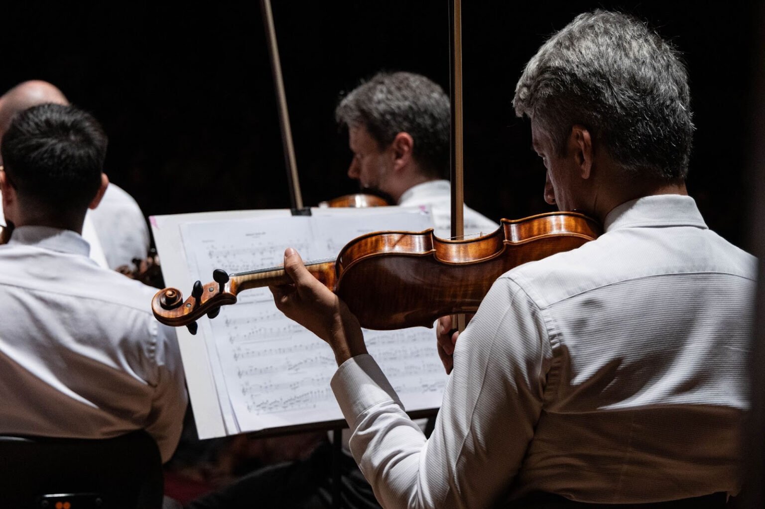 Theatro Municipal recebe Don Giovanni e tributo a Secos & Molhados unnamed 9