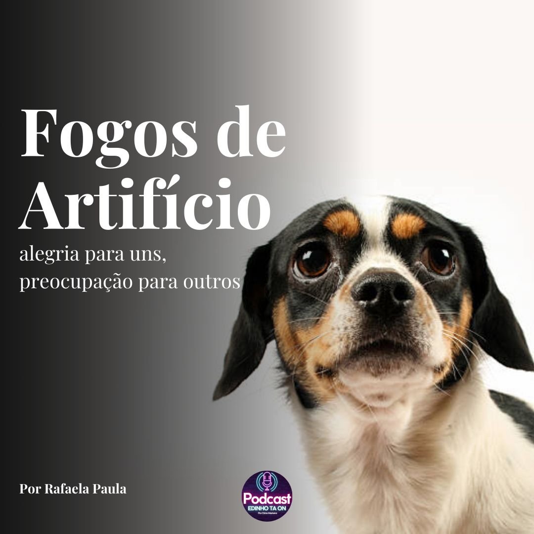 Fogo de artifício: alegria para uns, preocupação para outros 1 Fogo de artifício: alegria para uns, preocupação para outros