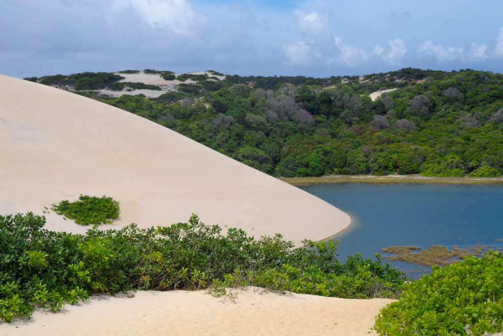 Cinco parques e Unidades de Conservação que você não pode deixar de conhecer na sua próxima viagem a Natal 1 Cinco parques e Unidades de Conservação que você não pode deixar de conhecer na sua próxima viagem a Natal