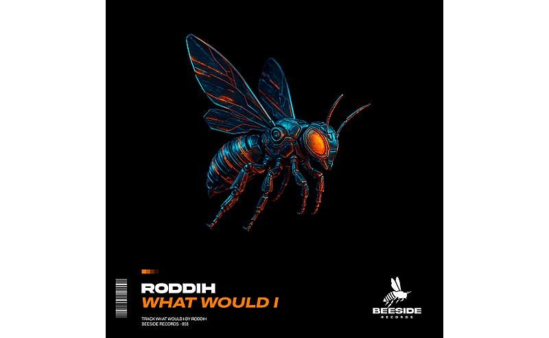 Roddih une House e Afro House na track “What Would I”, lançamento da Beeside Records