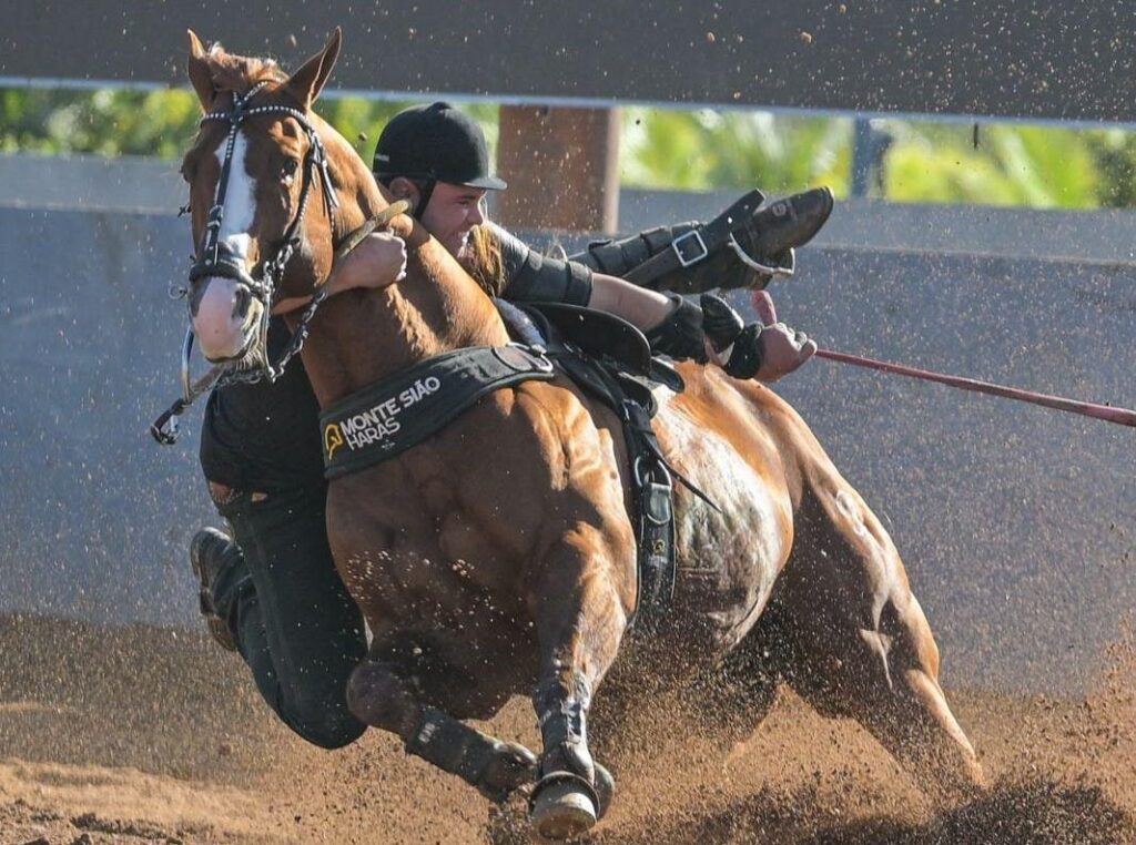 Cavalo Inquestionável leva Monte Sião Haras à liderança no maior campeonato de vaquejada do Brasil