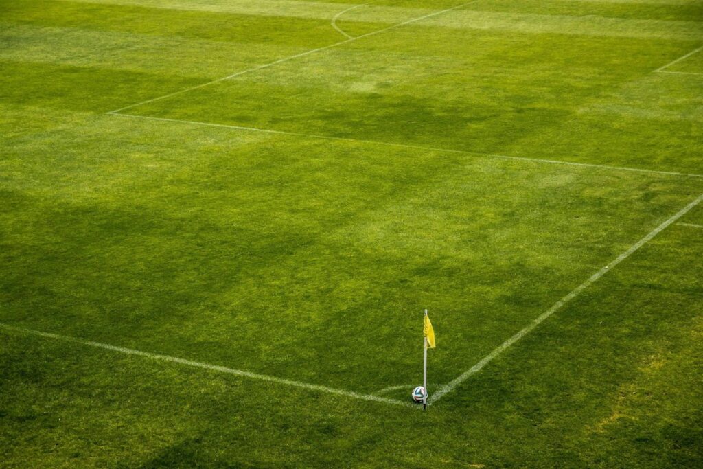 Flamengo e Palmeiras lideram chances no Brasileirão 2025