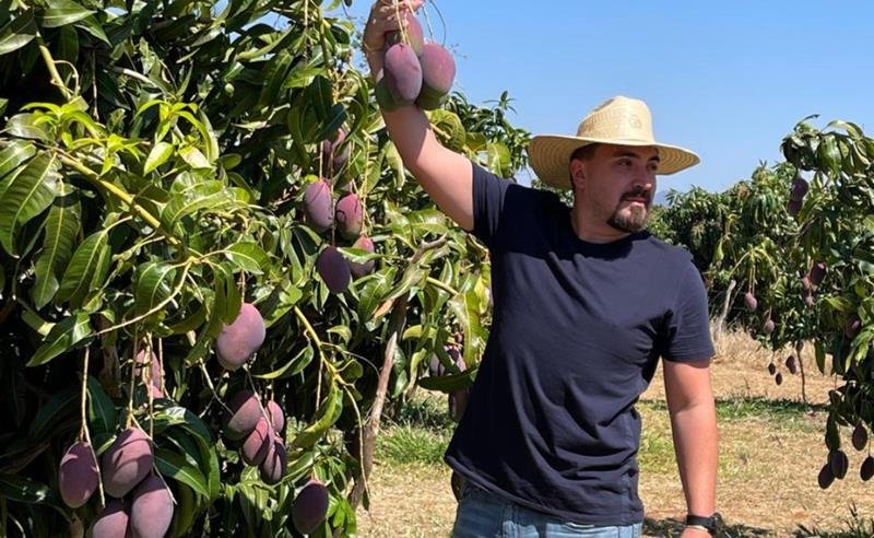 Brasil amplia presença global com exportação de frutas e mira protagonismo na produção de lichia e distribuição de pitaya