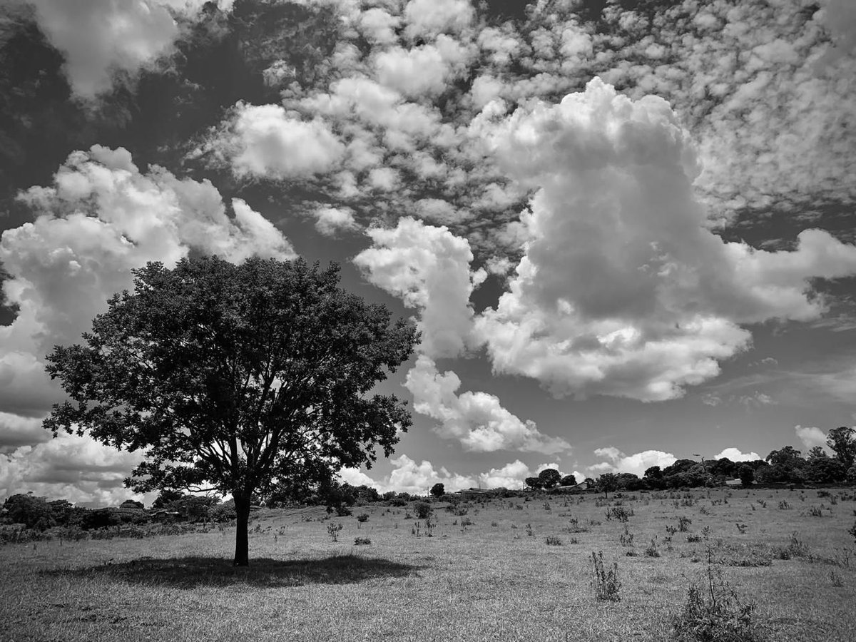 'O Registro do Olhar' é a nova exposição que a AVA Galleria Rio apresenta, dentro da BELA Bienal, trazendo a arte da fotografia, com curadoria de Edson Cardoso