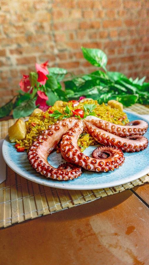 Polvo: um ingrediente, muitas culturas e muitas histórias no prato