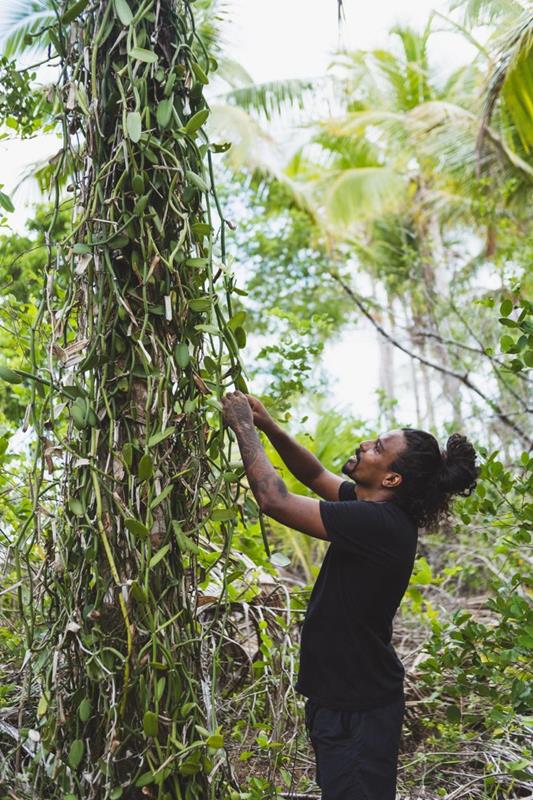 Da Floresta à Mesa promove experiência gastronômica única na Península de Maraú, na Bahia