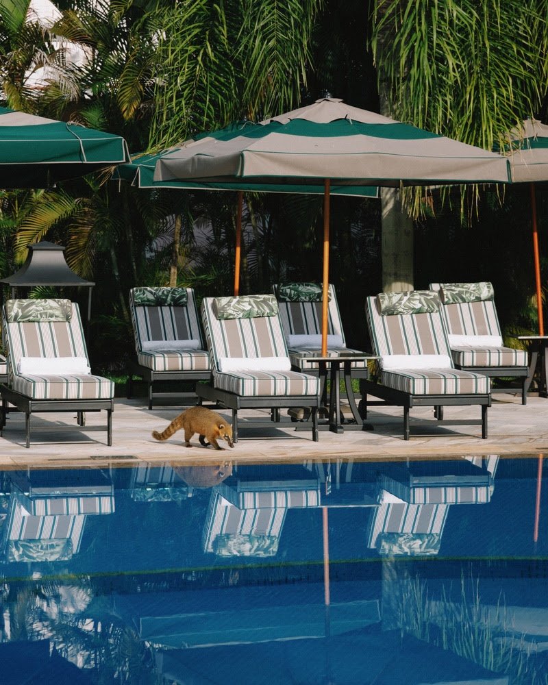 Hotel das Cataratas celebra Dia dos Pais com churrasco de excelência 3 Hotel das Cataratas celebra Dia dos Pais com churrasco de excelência