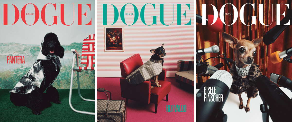 Vogue Brasil lança primeira edição da Dogue no país 1 Vogue Brasil lança primeira edição da Dogue no país
