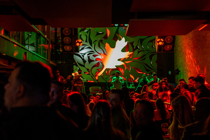 Arbô Club inaugura no Itaim Bibi com conceito que une natureza e futurismo