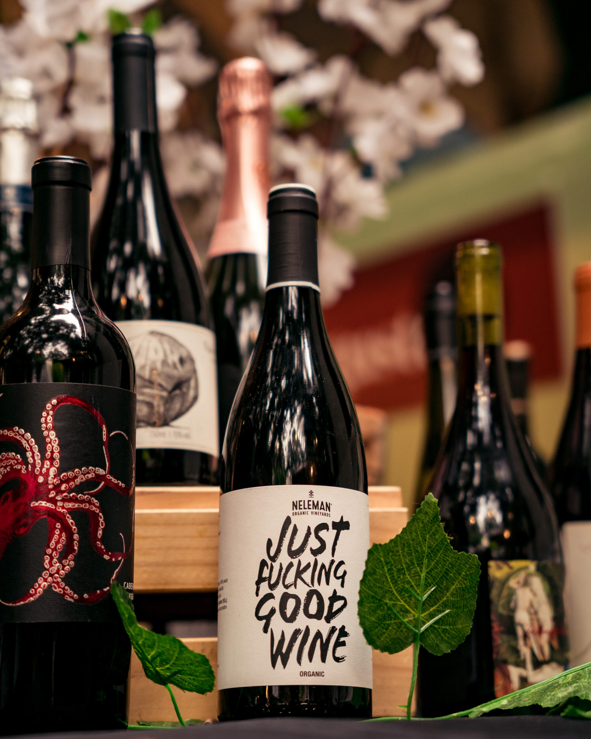 Orla Festival tem música, bem-estar e entrada gratuita no Rio