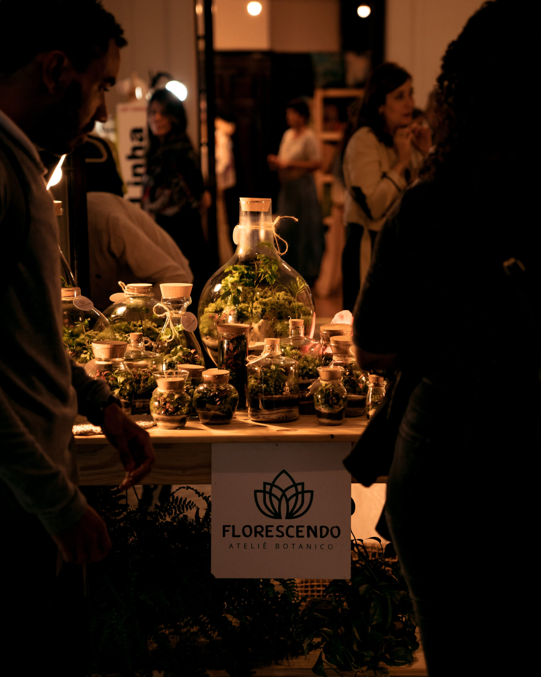 Orla Festival tem música, bem-estar e entrada gratuita no Rio