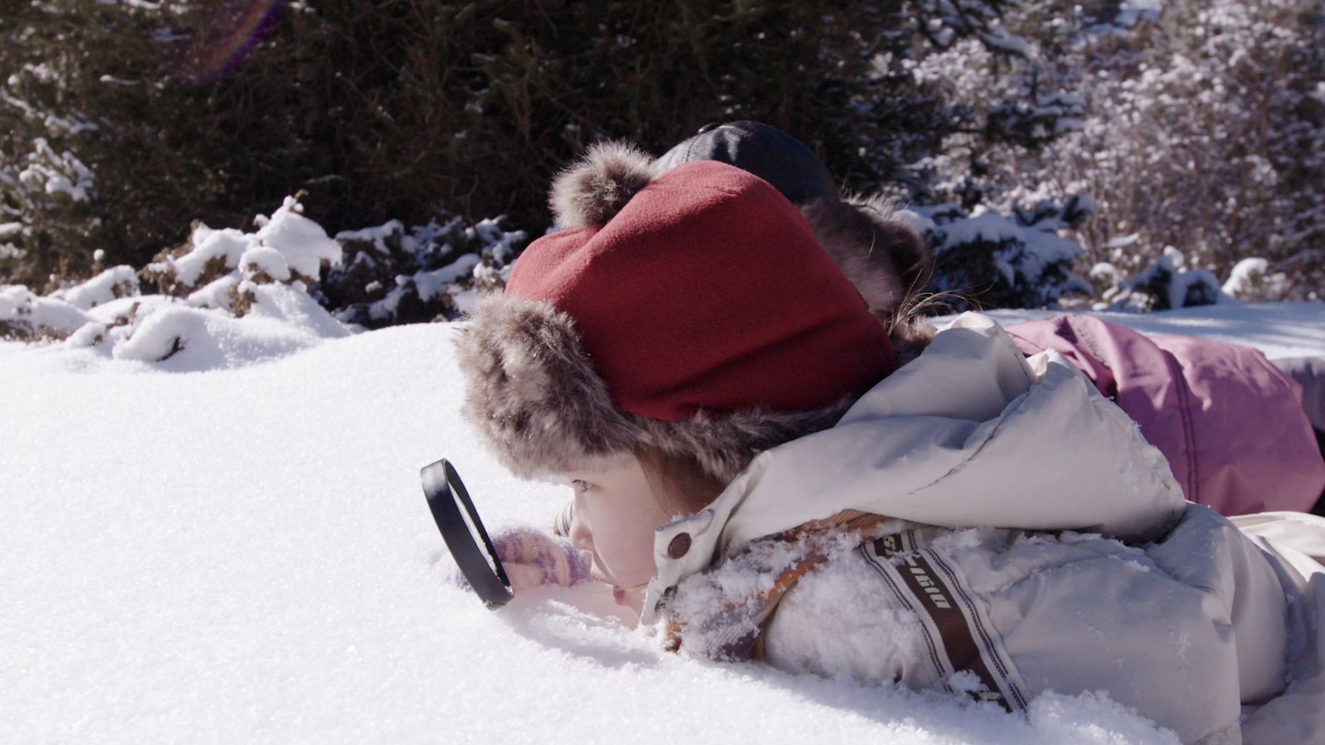 TV Cultura estreia série infantil “WeMe e a Natureza” com crianças de 20 países