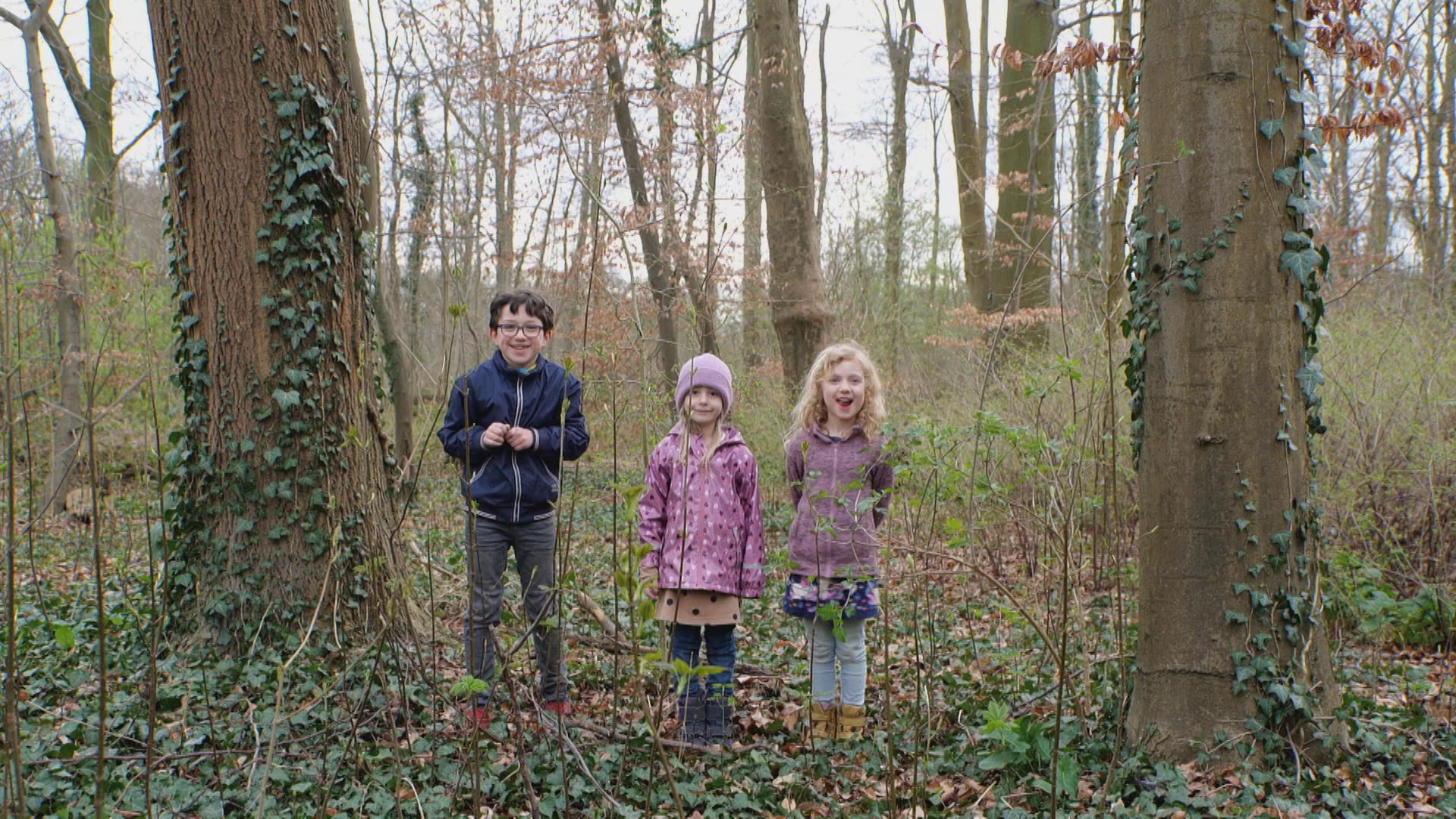 TV Cultura estreia série infantil “WeMe e a Natureza” com crianças de 20 países