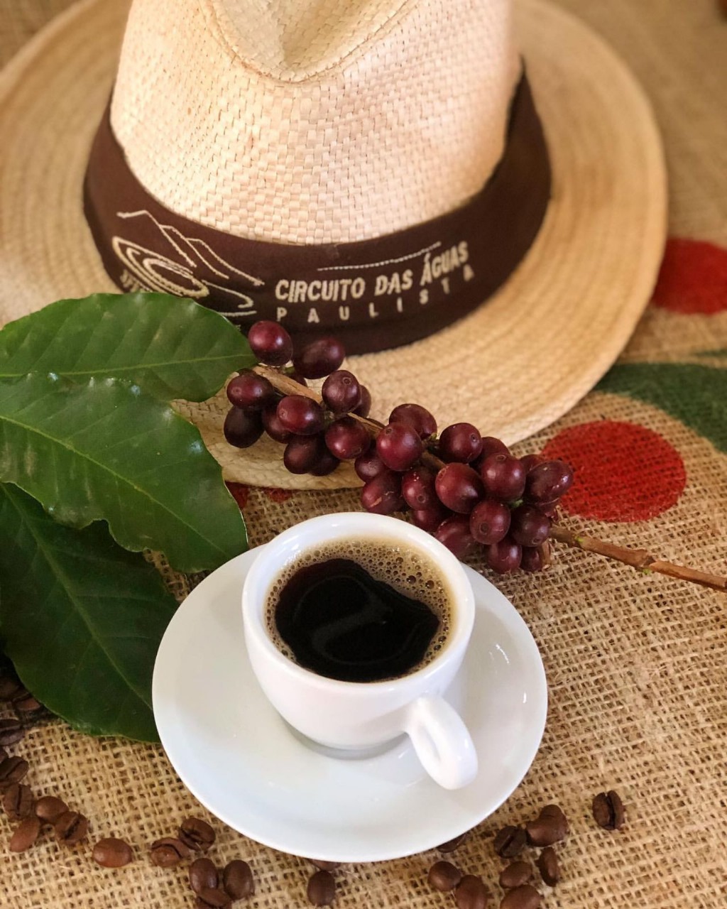 Serra Negra recebe Festival do Café Especial com cafés premiados