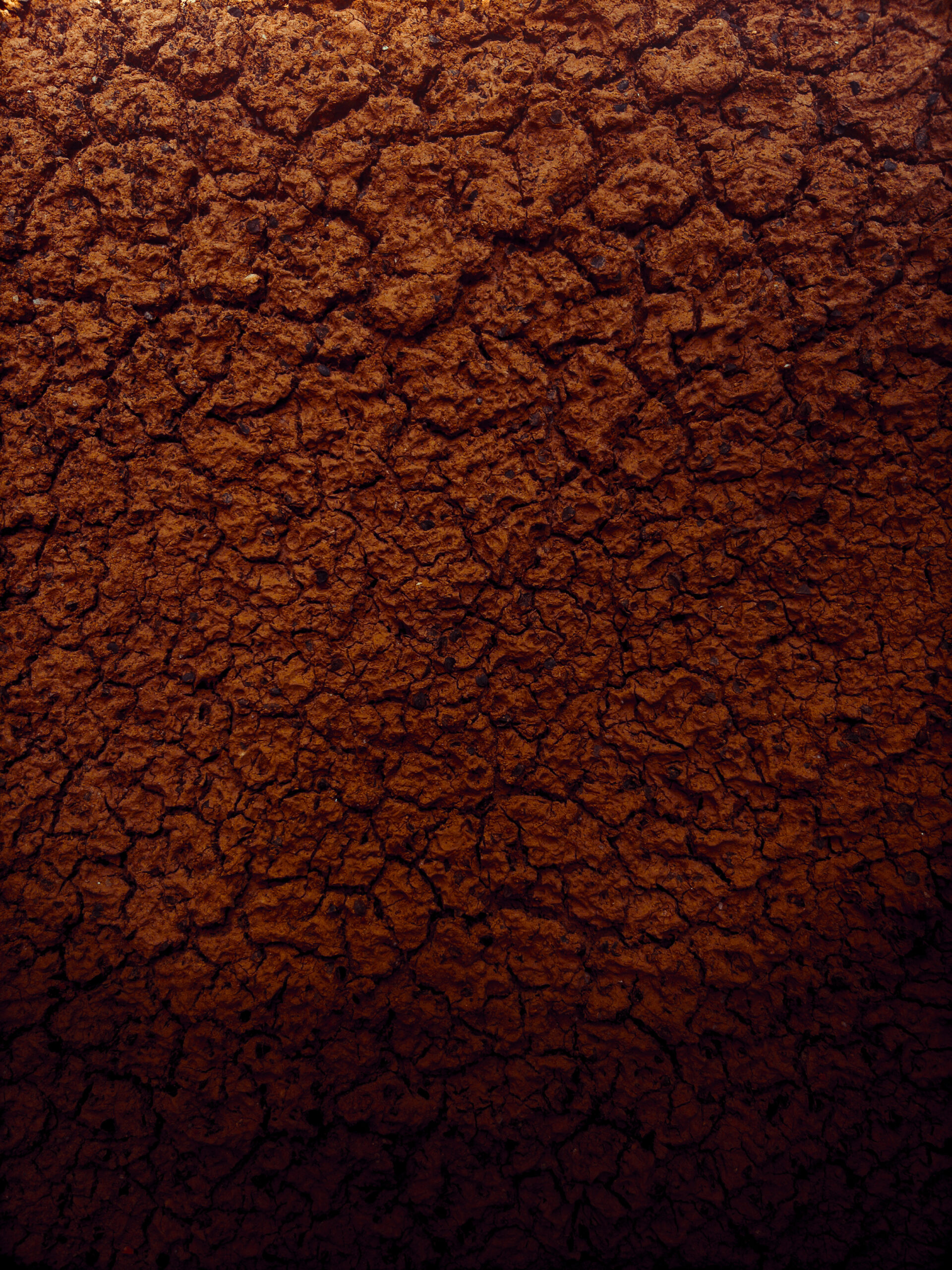 Givaudan e Delcy Morelos unem arte e perfumaria em exposição no MUAC, na Cidade do México