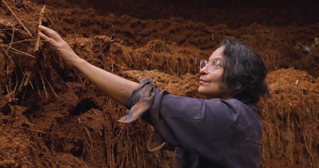 Givaudan e Delcy Morelos unem arte e perfumaria em exposição no MUAC, na Cidade do México Givaudan e Delcy Morelos unem arte e perfumaria em exposição no MUAC, na Cidade do México