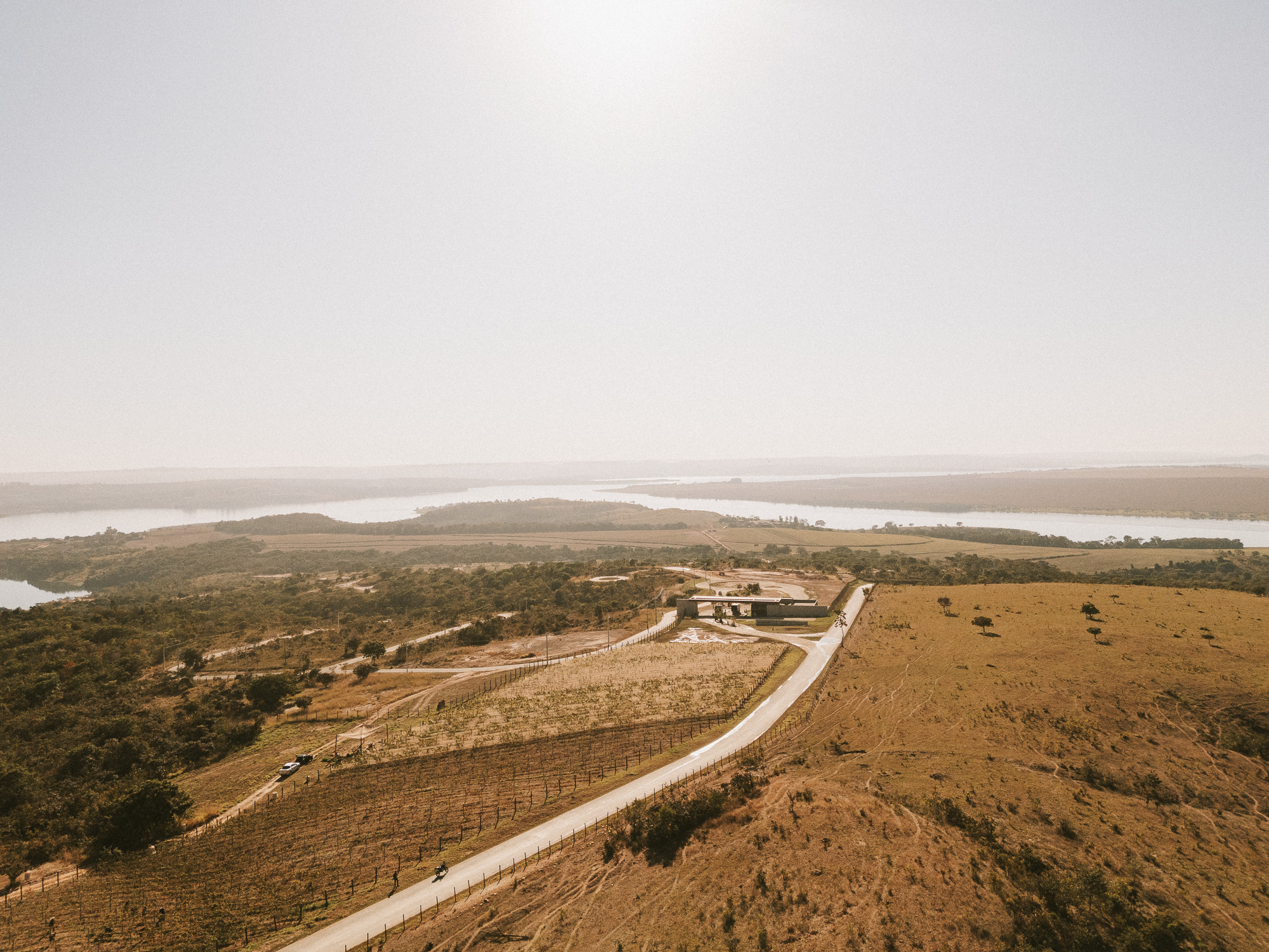 Enólogo defende viabilidade de vinhos finos no Cerrado