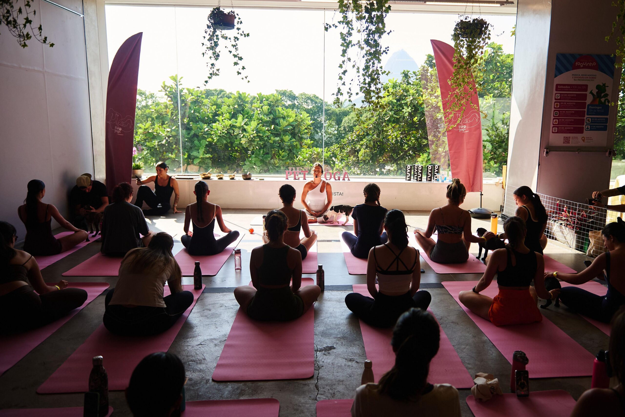 Pet Yoga com filhotes para adoção acontece no Shopping Metropolitano Barra