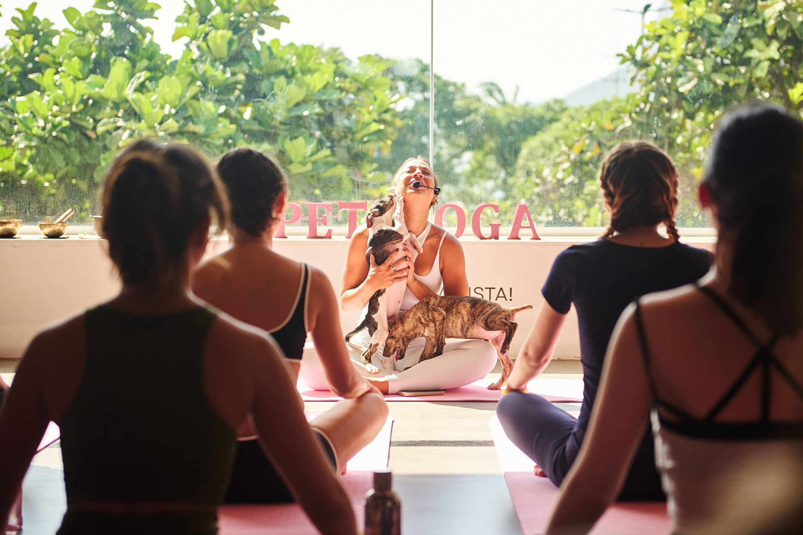 Pet Yoga com filhotes para adoção acontece no Shopping Metropolitano Barra