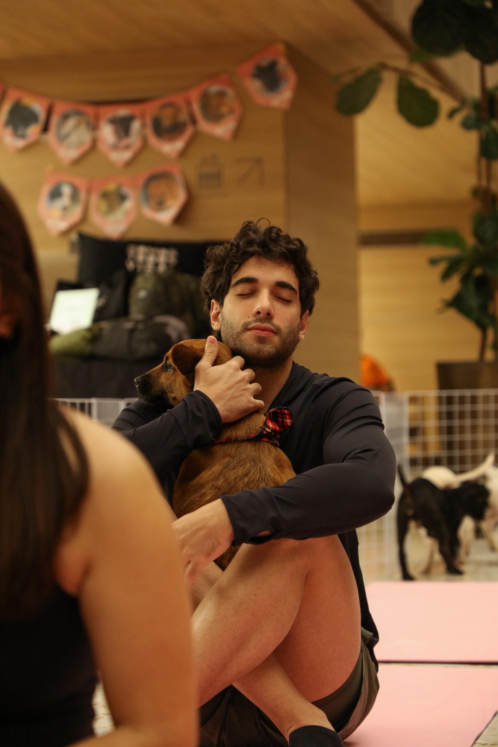 Pet Yoga com filhotes para adoção acontece no Shopping Metropolitano Barra
