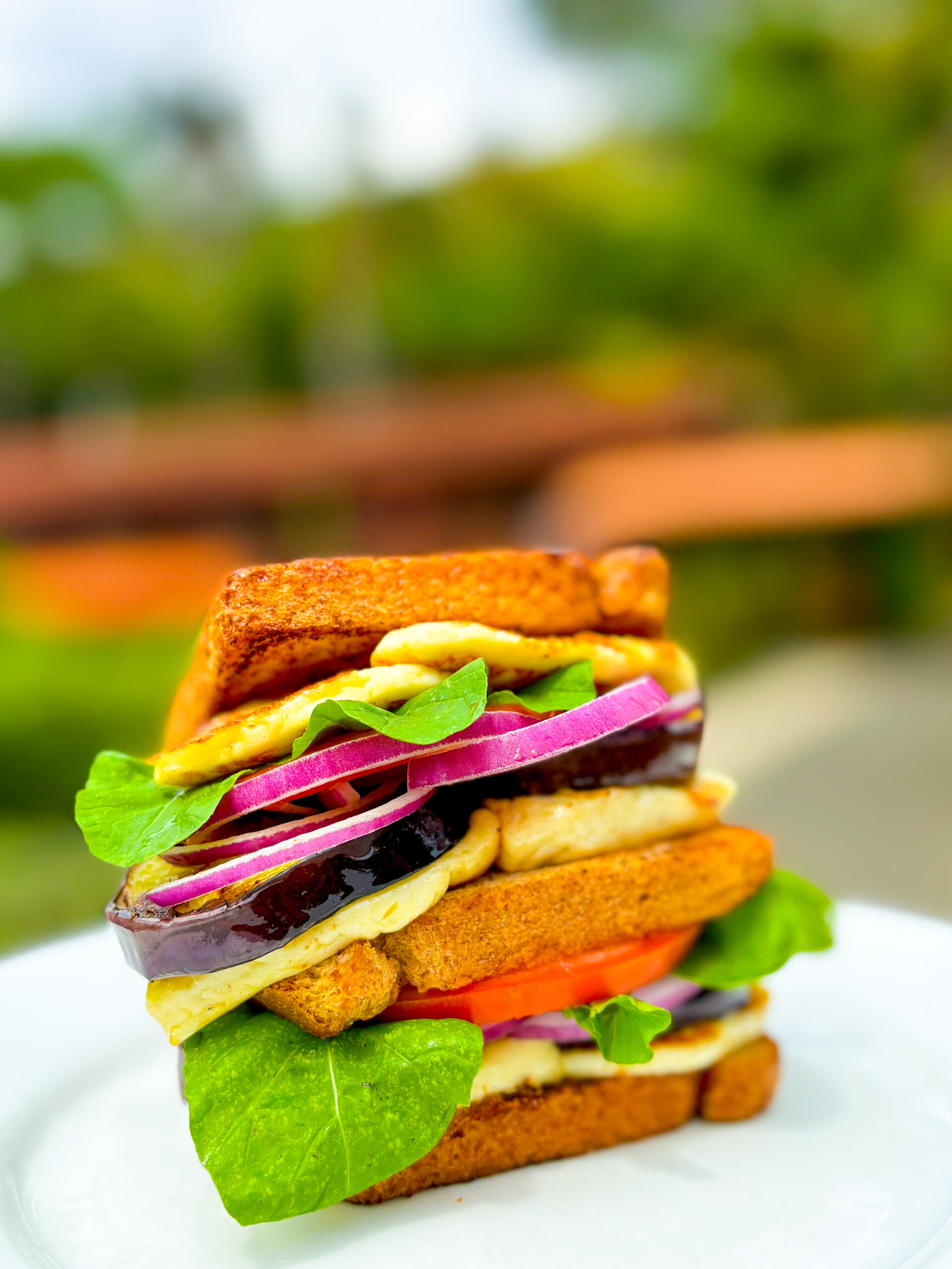 Dia do Sanduíche: Hotel Fazenda Vilarejo celebra a data com receita saudável e experiência à beira da piscina