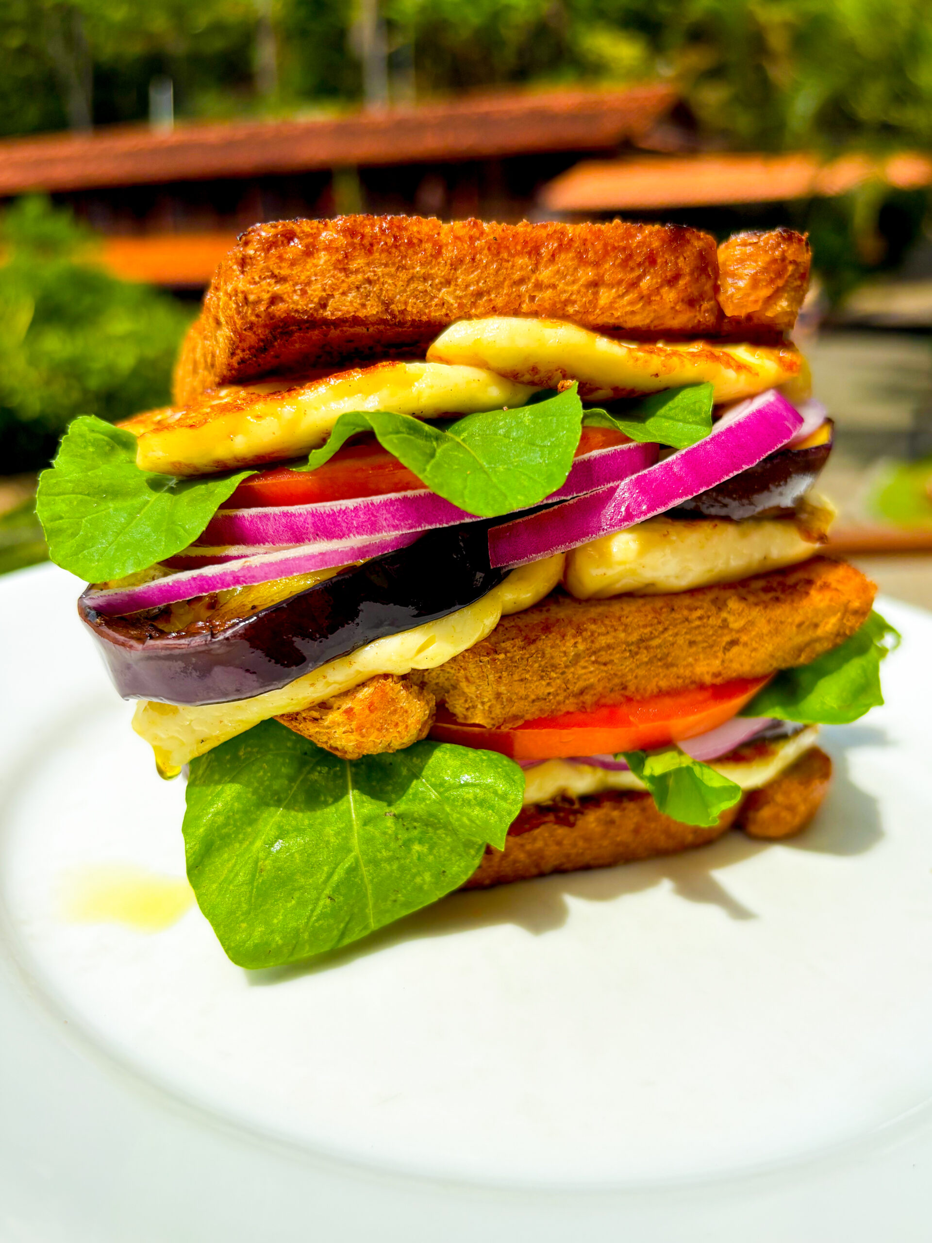 Dia do Sanduíche: Hotel Fazenda Vilarejo celebra a data com receita saudável e experiência à beira da piscina