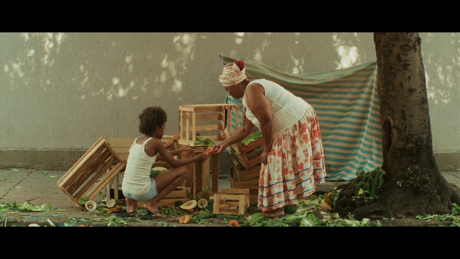 Curta “O Casulo” tem pré-estreia gratuita em Niterói com Paulo Betti