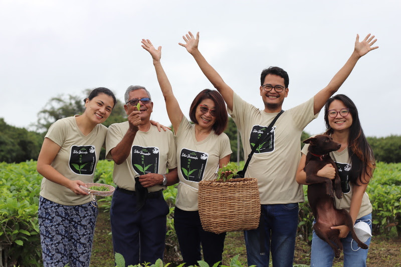 Rota do Chá volta ao Vale do Ribeira em novembro com imersão em turismo rural esgotada