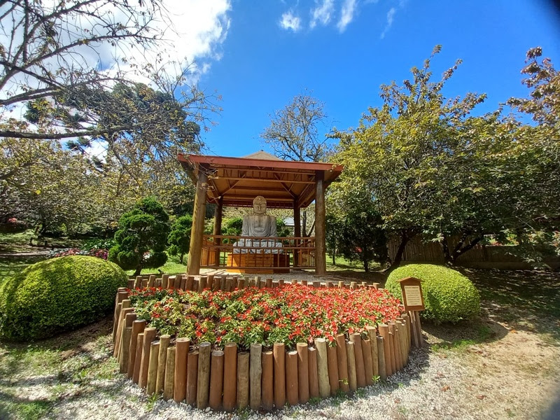 Parque da Cerejeira de Campos do Jordão terá aulas de yoga aos sábados