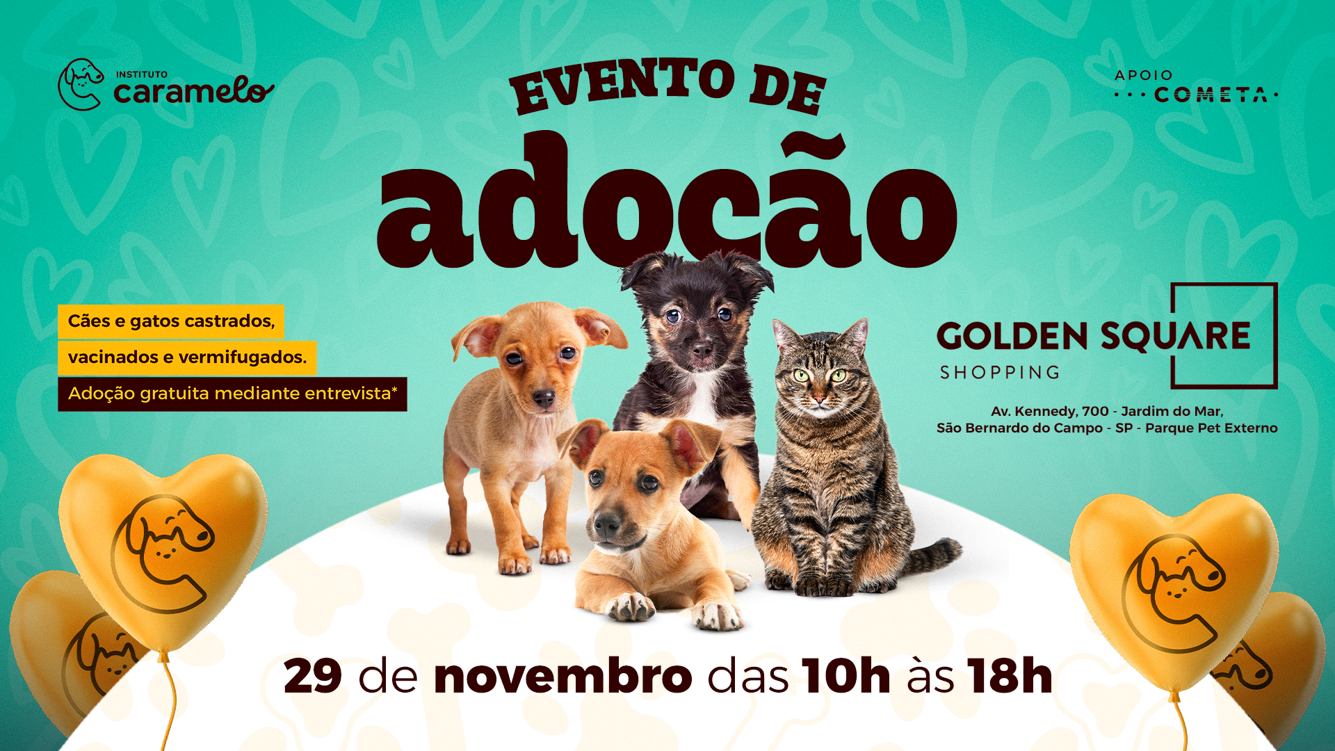 Instituto Caramelo realiza último evento de adopción de 2025 en São Bernardo do Campo