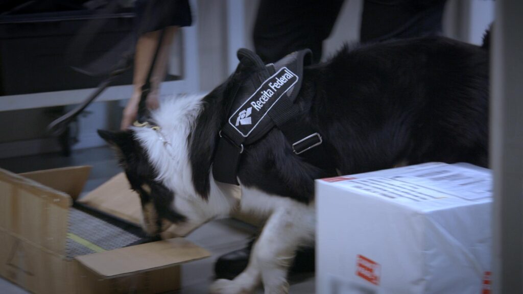 “Airport – Restricted Area” reveals 5 striking cases in new season