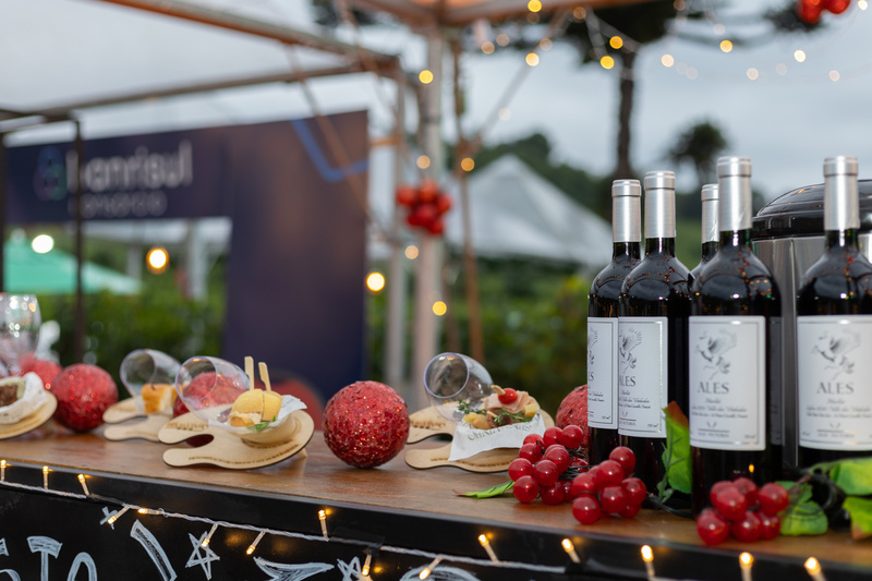 Christmas in Vineyards gathers 35 enogastronomic experiences