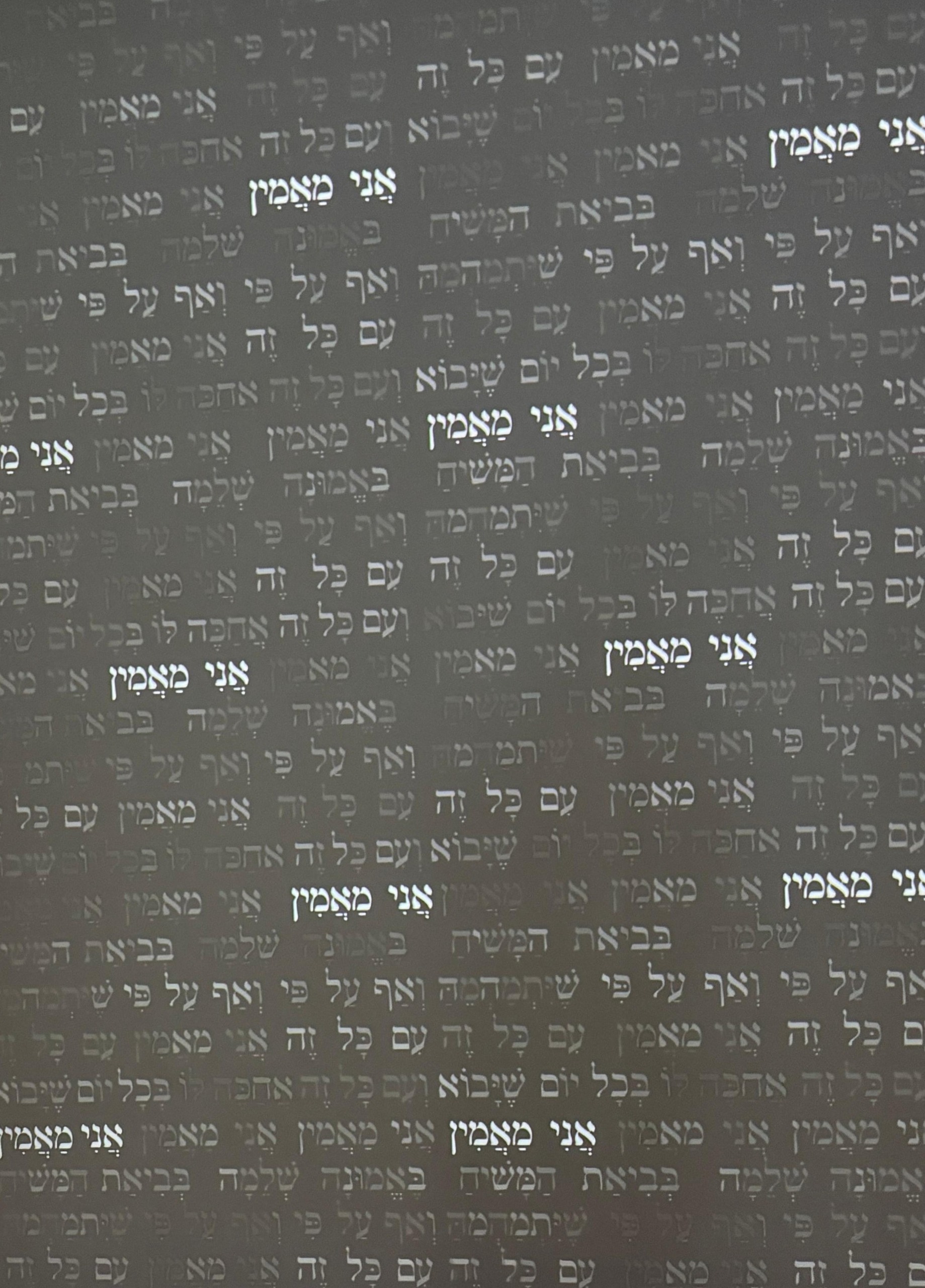 Galeria Kovak & Vieira abre “Herança da vida” com fotos da Marcha da Vida