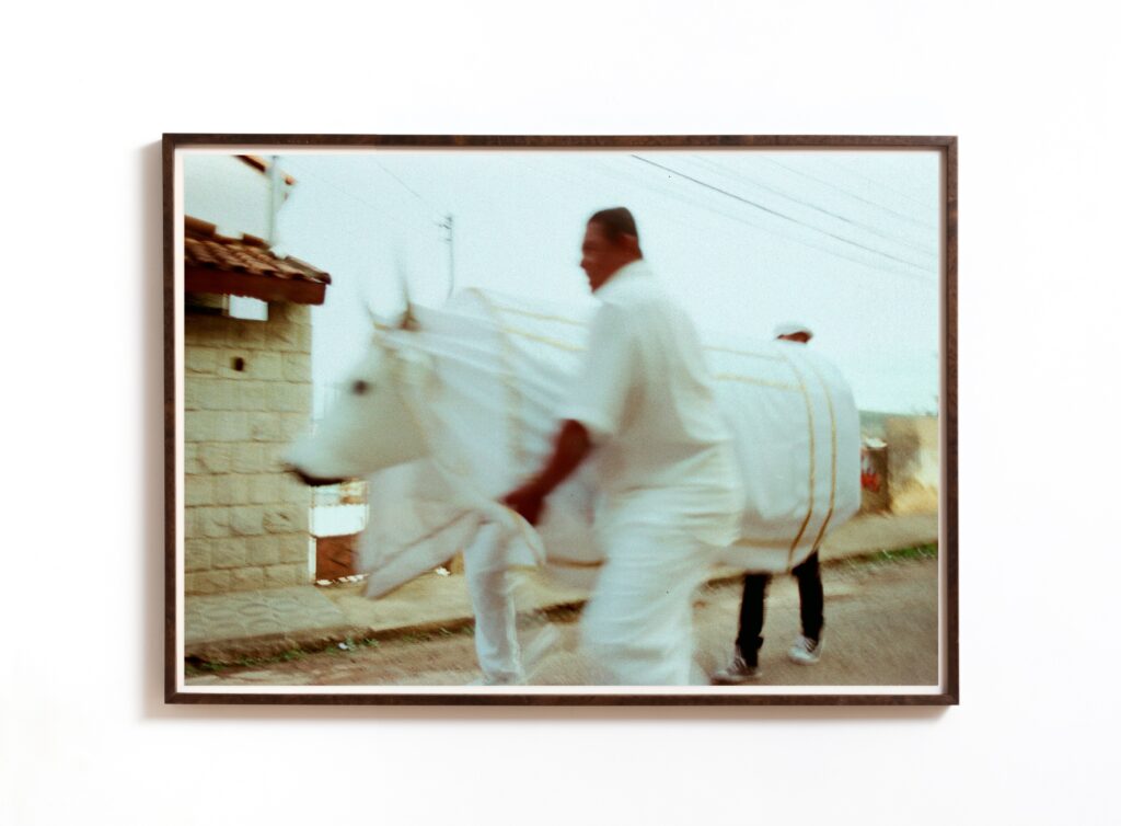 Galeria Lume presents “Rios Falam, Rios Cantam”